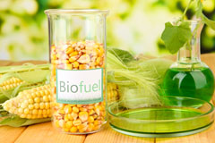 Holland biofuel availability